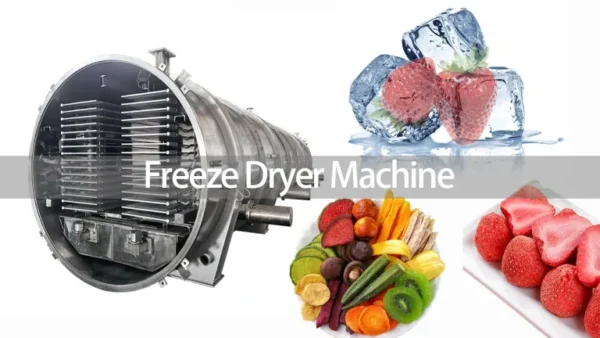 Quality Commercial Large Vacuum Freeze Dryer Machine Lyophilizer For Fruit and Vegetable Manufacturer  Sinopek
